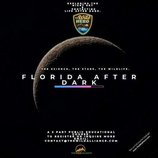 Florida After Dark 2 Weekend Adventure