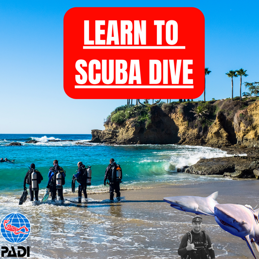 DISCOVER SCUBA EXPERIENCE