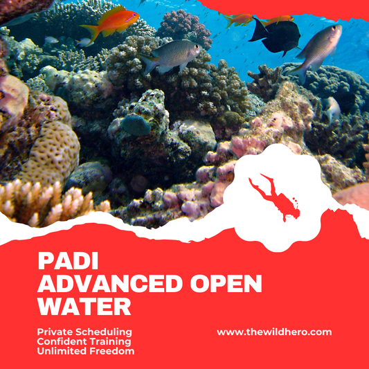 Private PADI Advanced Open Water Certification