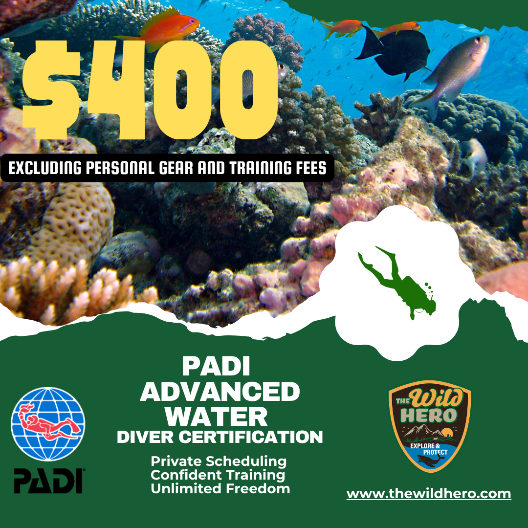 Private PADI Advanced Open Water Certification