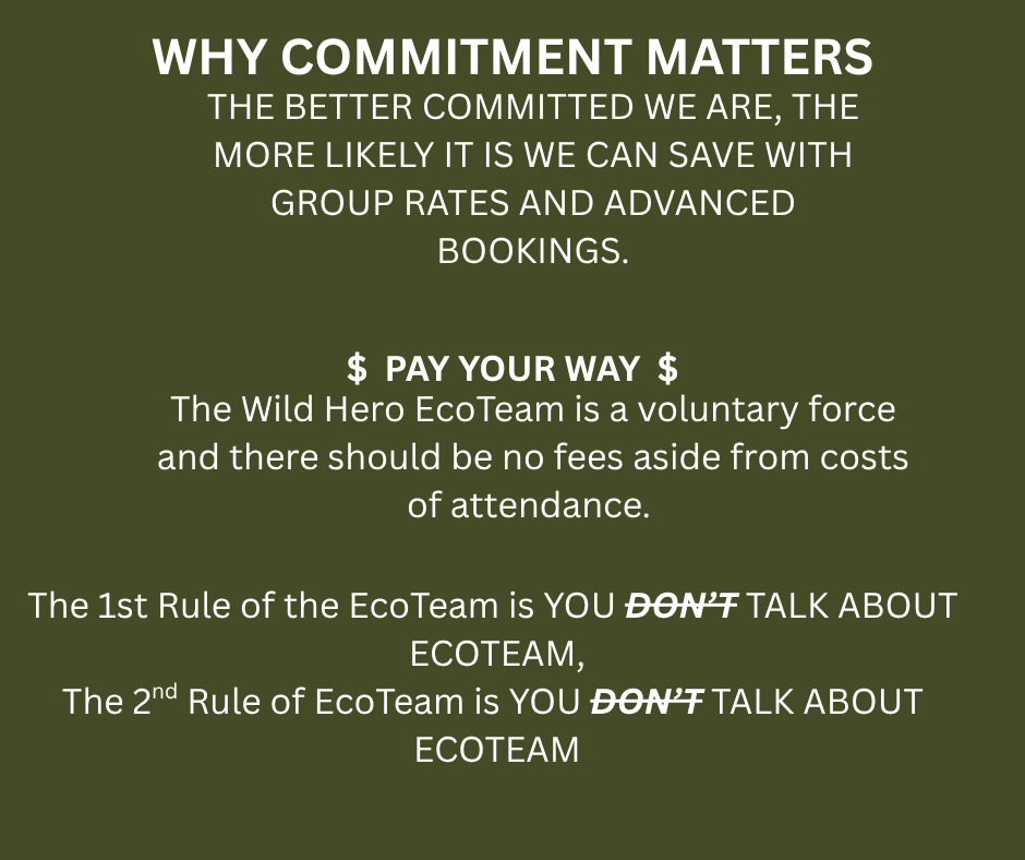 Ticket - EcoTeam Social May 2026