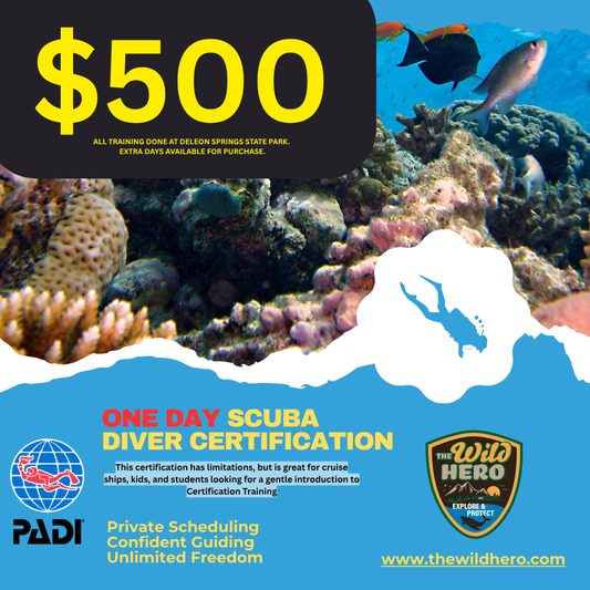 PADI Scuba Diver Certification Course