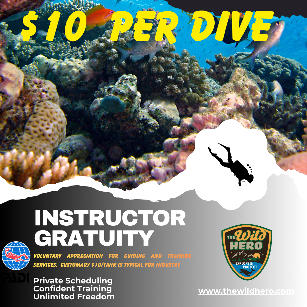 Instructor Gratuity