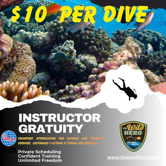 Instructor Gratuity