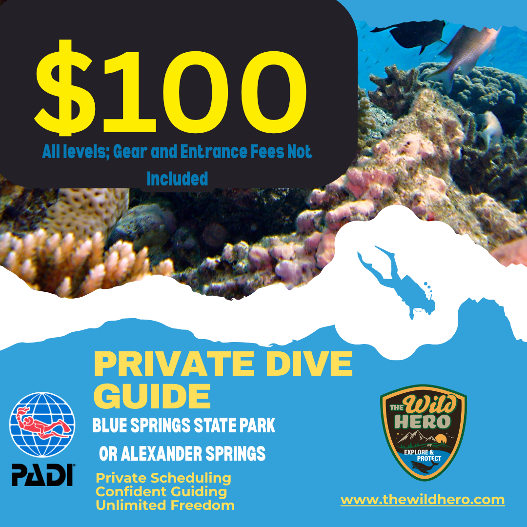 BLUE SPRINGS DIVE GUIDE