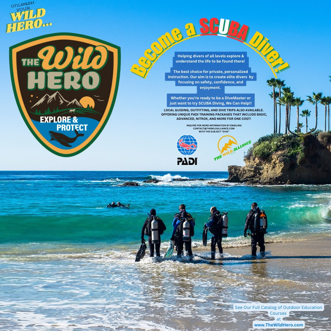 PADI 4 Course Bundle