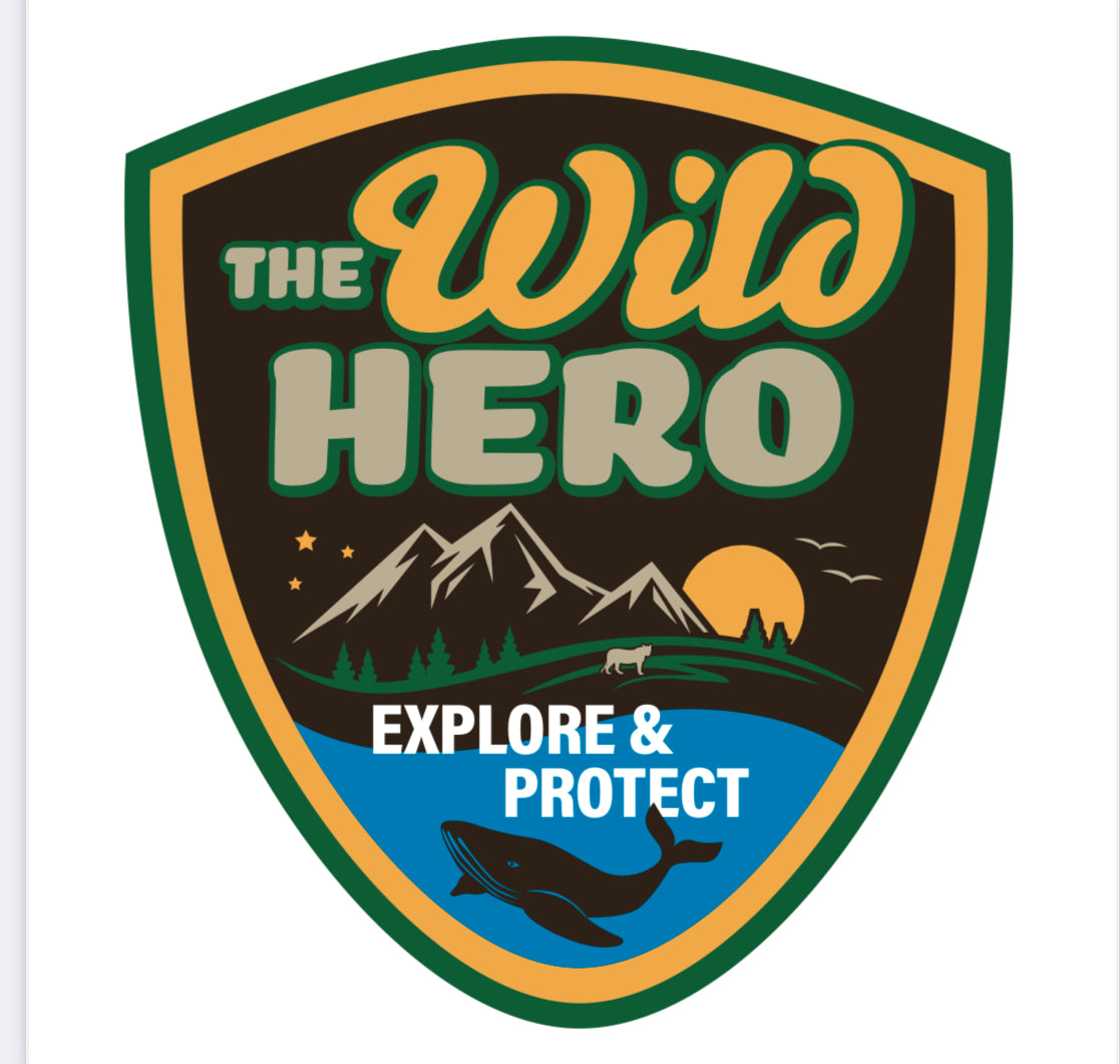 PADI Open Water Certification