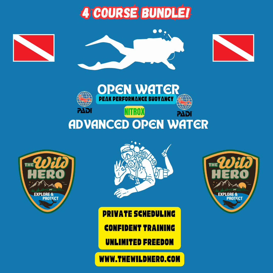 PADI 4 Course Bundle