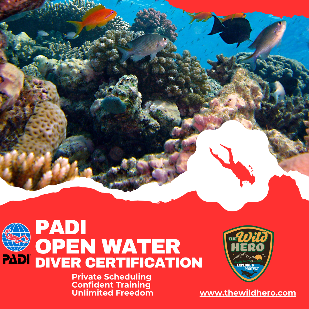 PADI Open Water Certification